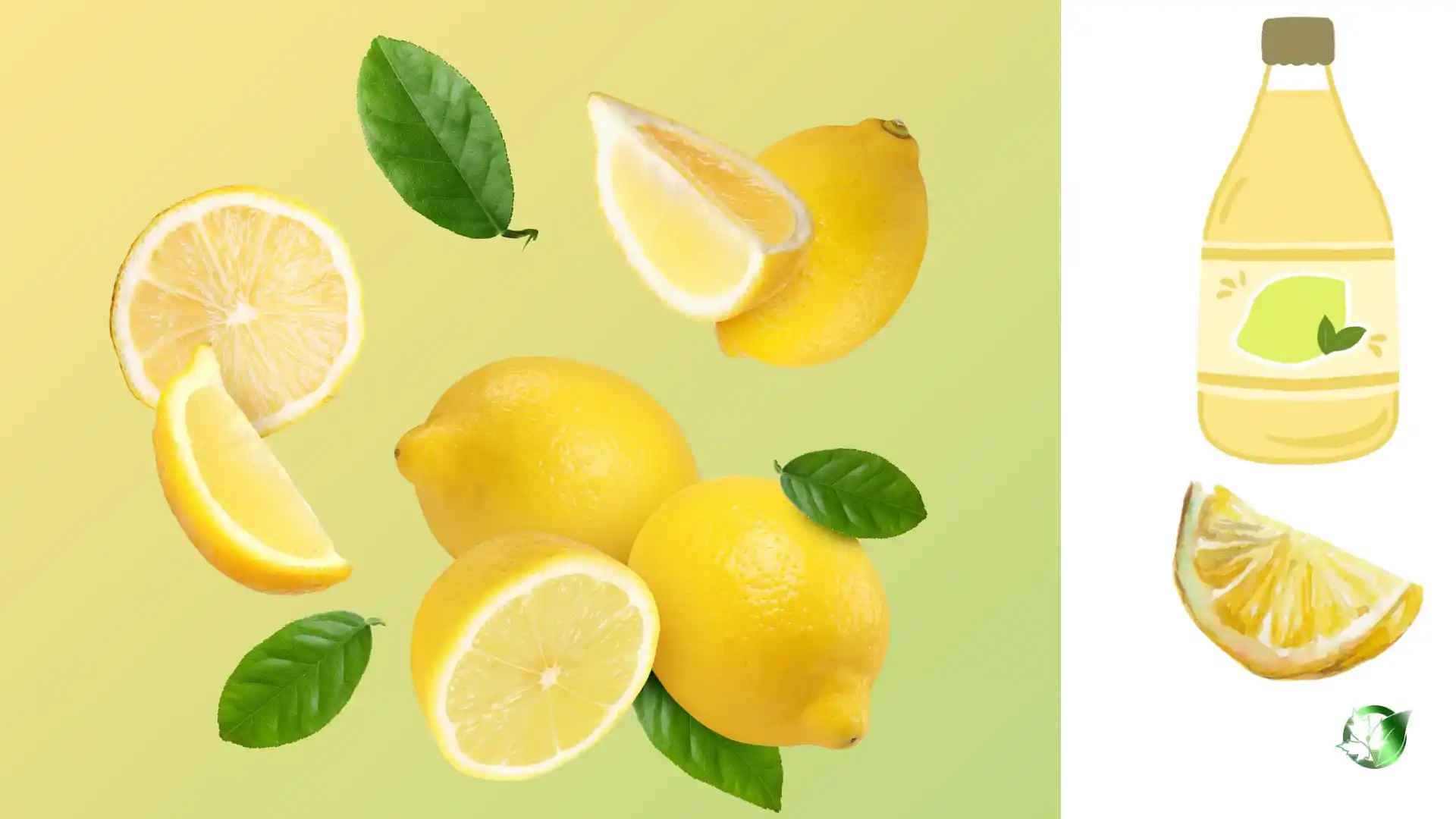 Source evaluation for Lemon Juice should cover specification, packaging, supporting records, logistics, and full delivered cost.
